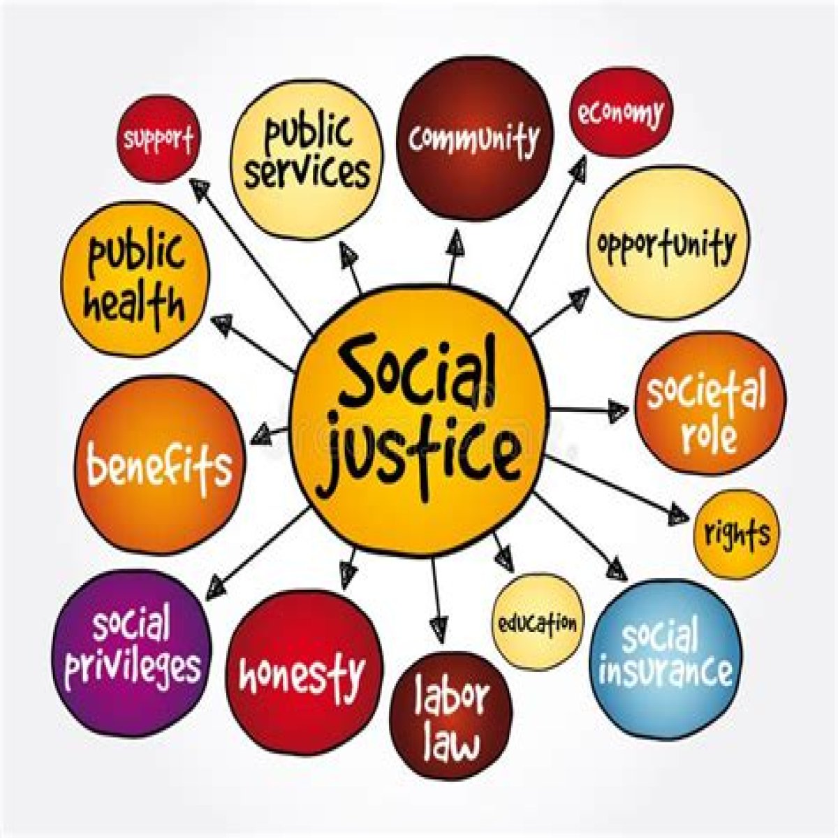 Insights Into Social Justice And Identity