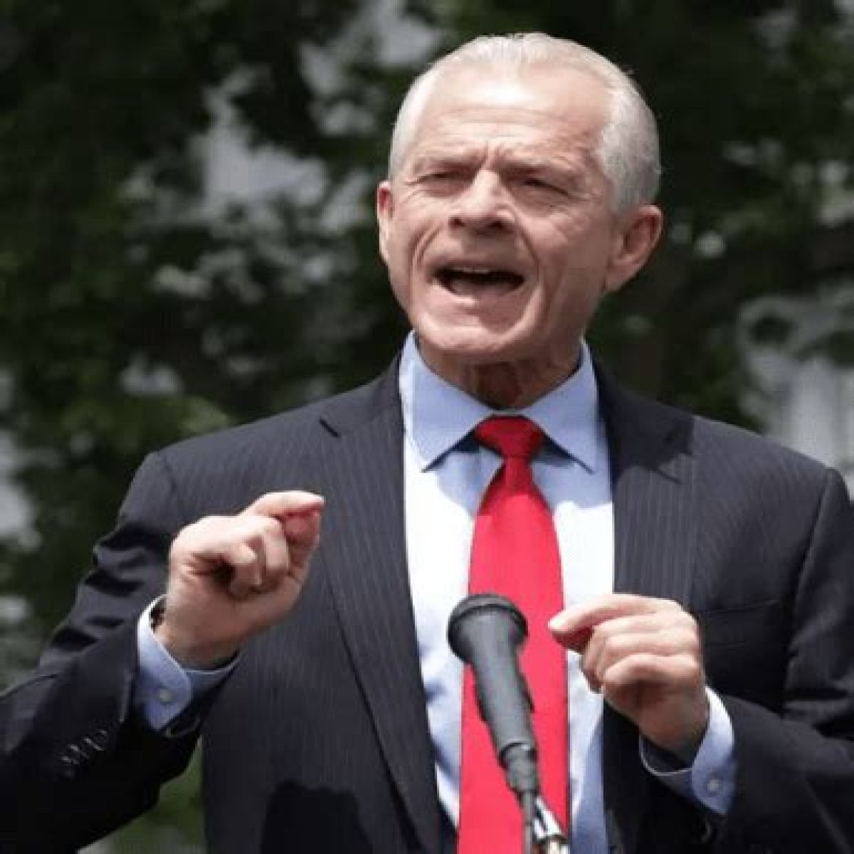 Peter Navarro Age, Height, Bio, Parents, Wife, Net Worth